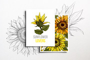 Sunflower Patterns Collection, a Pattern Graphic by ilonitta (Thumbnail 9 of 16)