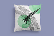 Insects - Vintage Illustrations, an Illustration by Graphic Goods (Thumbnail 6 of 10)