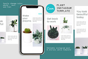 Canva Instagram Template Plant, a Social Media Template by Lythcreative (Thumbnail 1 of 6)