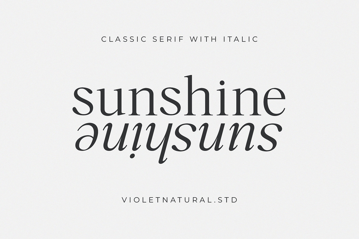 Sunshine, a Serif Font by Violet Natural (Photo 10 of 10)