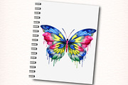 Watercolor Butterfly Clipart, an Animal Illustration by Digital Artistic99 (Thumbnail 6 of 11)