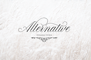 Claudya Script, a Script Font by Sikifonts (Thumbnail 5 of 11)