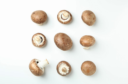 Flat lay composition with champignons on white background, a Food & Drink Photo by AtlasStudio PRO
