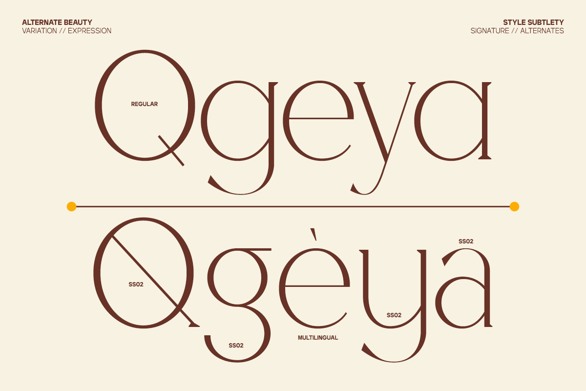 GC Cheline - Modern Elegant Serif, a Serif Font by Glyphonic (Photo 12 of 15)
