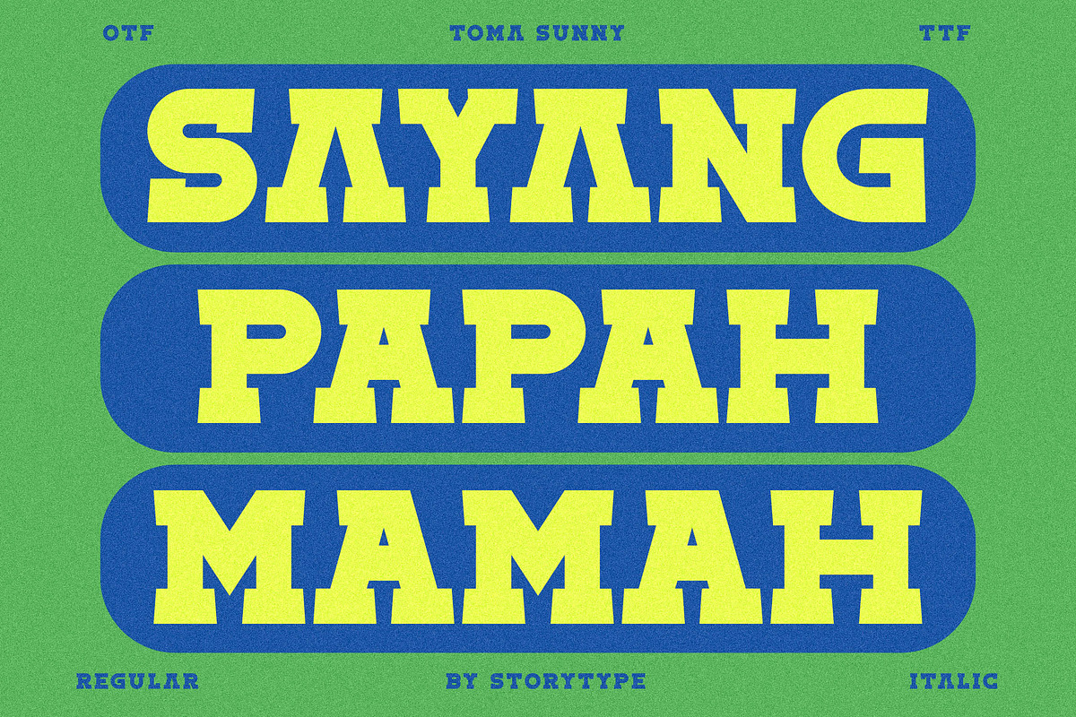 Toma Sunny Slab Serif Font, a Slab Serif Font by Storytype Studio (Photo 9 of 11)