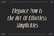 Dallen Blur, a Serif Font by Craft Supply Co. (Thumbnail 2 of 8)