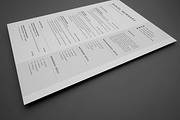 Resume/CV, a Stationery Template by UX-group (Thumbnail 4 of 7)