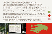 Megance Glamour Elegant Sans Font, a Sans Serif Font by timelesstype.co (Thumbnail 10 of 10)