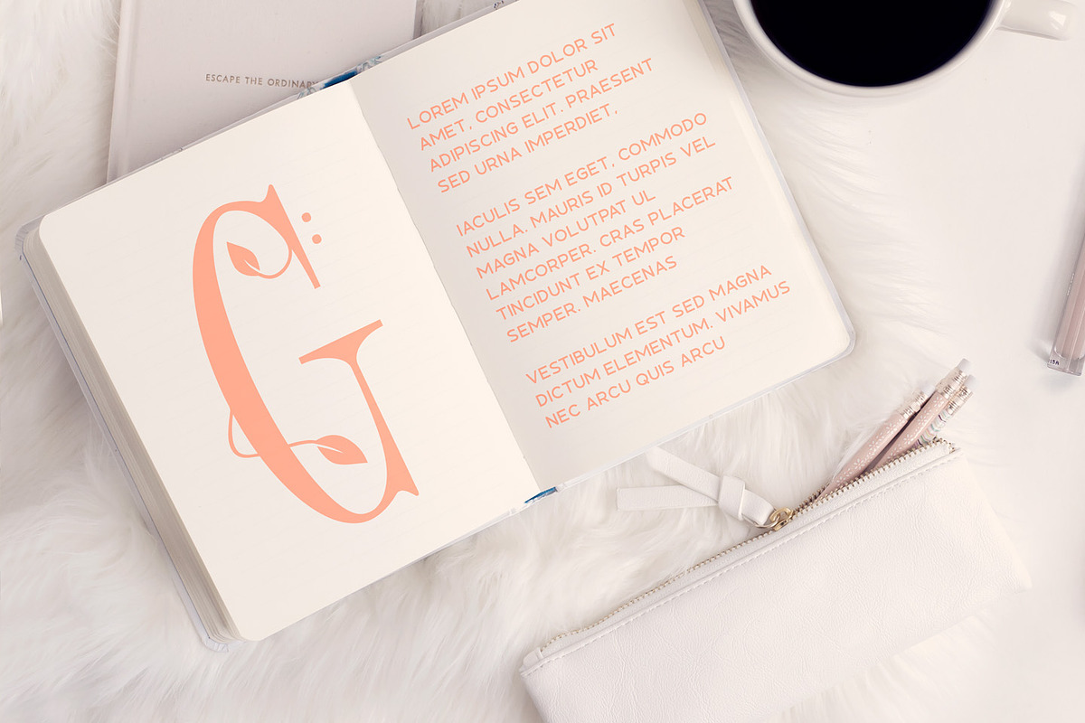 Wisteria • Display Font preview 8