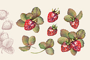 Berries, a Food Illustration by Jeanna Draw (Thumbnail 5 of 12)
