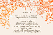 Hand drawn pumpkin illustration, a Decorative Illustration by swiejko (Thumbnail 6 of 6)