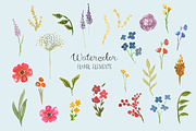 Sommerlich Expanded Collection, an Illustration by KLUGE+CO (Thumbnail 6 of 11)