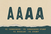 Franklin Stone + Extras, a Sans Serif Font by IronbirdCreative (Thumbnail 2 of 10)
