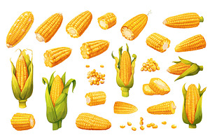 Cartoon corn. Sweet vegetable, a Food Illustration by Stock-Smart-Start