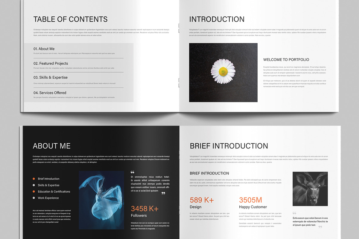 Digital Portfolio Layout, a Brochure Template by MightyDesign (Photo 3 of 9)