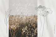 Meadow Flowers Vol. 1 & 2 Bundle, a Decorative Illustration by Pigment Café (Thumbnail 2 of 10)
