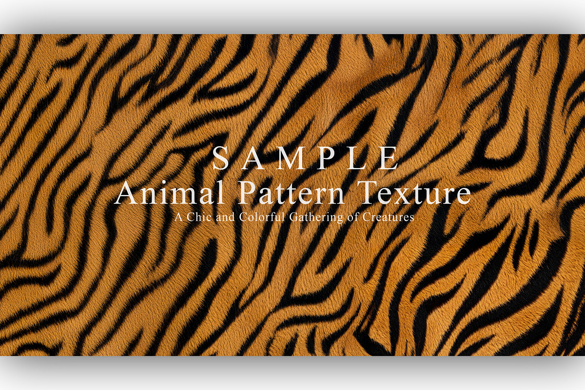 24 Animal Pattern Texture, a Background Graphic by NOMO DESIGN (Photo 6 of 24)