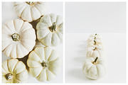 Fall Pumpkins Bundle, a Food & Drink Photo by Floral Deco (Thumbnail 3 of 3)