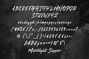 Misty Nights - Brush Font, a Handwritten Font by Sronstudio (Thumbnail 10 of 10)