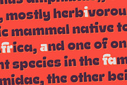 Ding Extra -50%, a Font by Rodrigo Typo (Thumbnail 5 of 9)