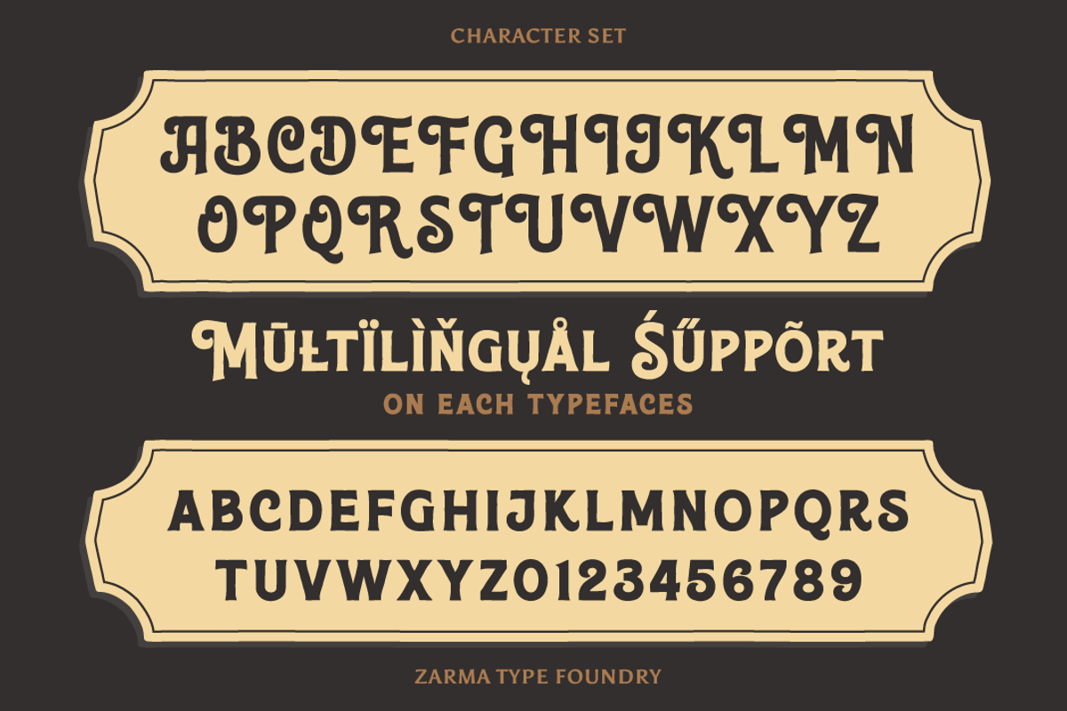 Anerome - Vintage Display Font, a Serif Font by Zarma Type (Photo 6 of 12)