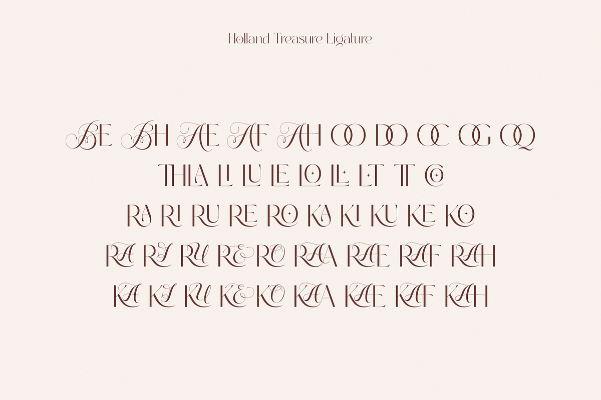 Holland Treasure - Display & Regular, a Sans Serif Font by LoneArmy (Photo 10 of 10)