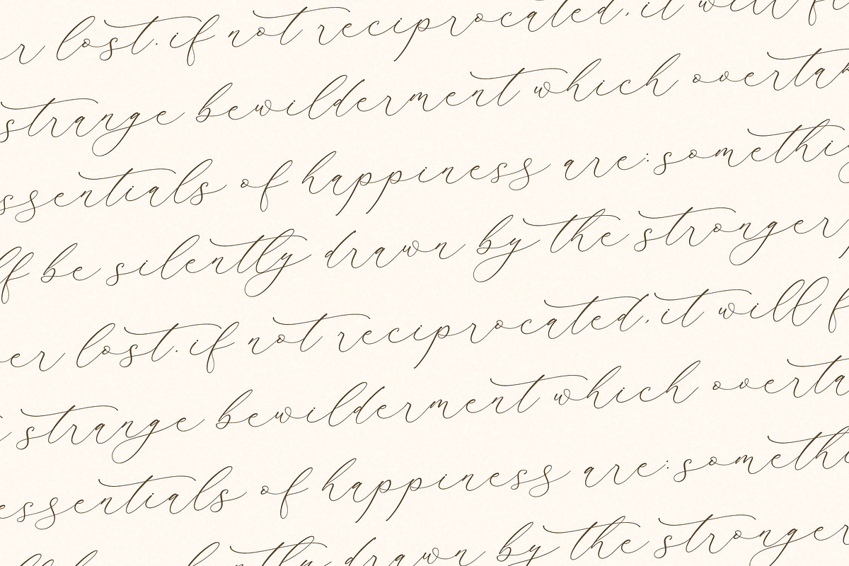 Waltney Flores A Beauty Calligraphy, a Script Font by Storytype Studio (Photo 9 of 15)