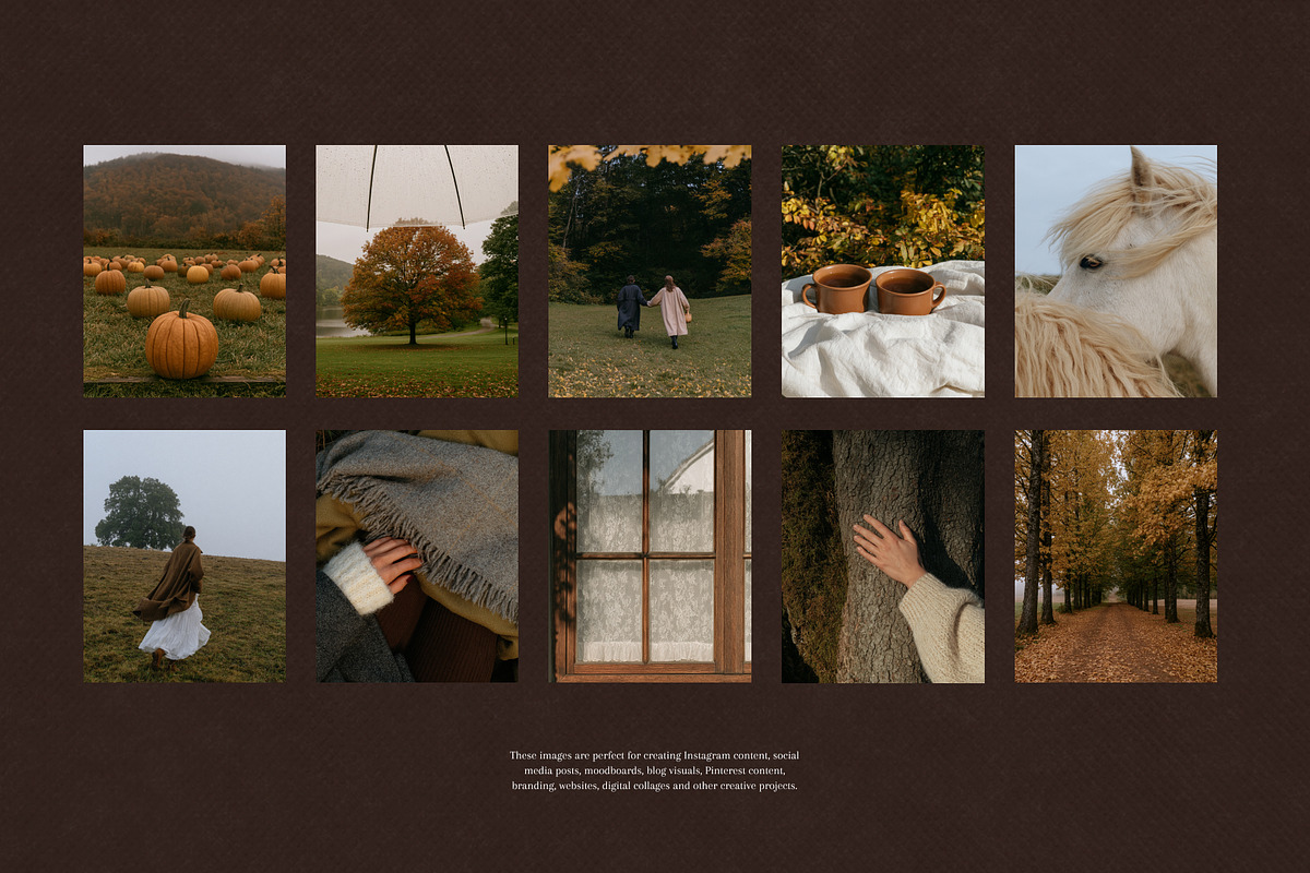 90+ Autumn Stock Photos, a Nature Photo by Trissa (Photo 2 of 12)