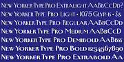 New Yorker Type Pro, a Serif Font by Wiescher-Design (Thumbnail 7 of 8)