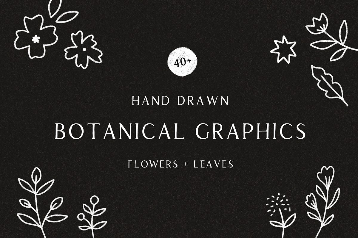 Hand Drawn Botanical Graphics, a Texture Illustration by Minna May Design (Photo 1 of 2)