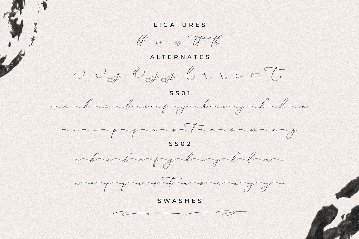 Authentiue Chic Calligraphy Font, a Script Font by Storytype Studio (Photo 14 of 15)