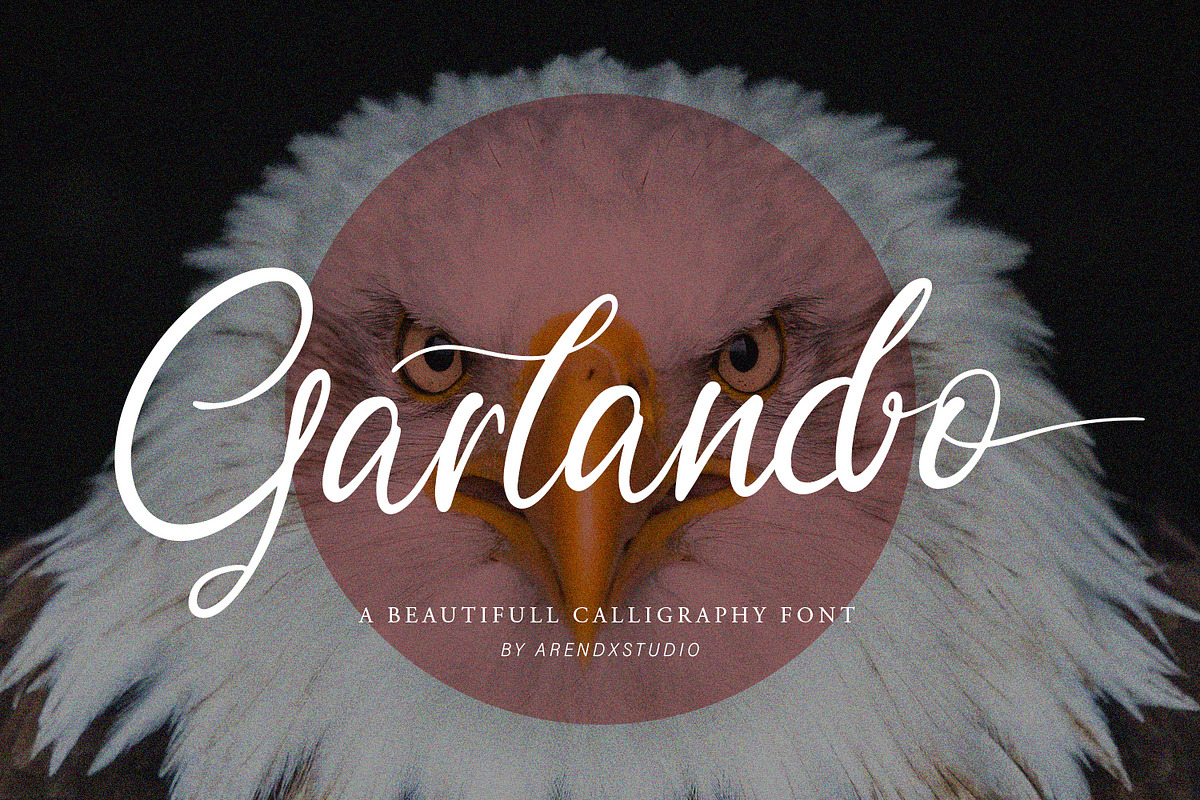 Garlando - Calligraphy Font
