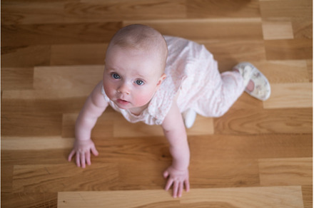 seven months old caucasian baby on, a Person Photo by Koldunova