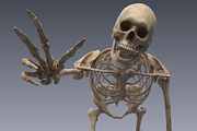 Human skeleton rigged, a Characters & Person 3D Model by konstantin.ermolaev (Thumbnail 1 of 27)
