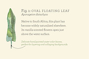 Botanical Watercolor Leaves, a Texture Graphic by Carolyn Packard Design (Thumbnail 3 of 8)