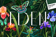 EDEN. Fresh trend!, a Decorative Illustration by OlgaSoi007 (Thumbnail 1 of 17)