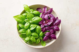 Fresh green and purple basil in a bowl, a Food & Drink Photo by AlyaAnd