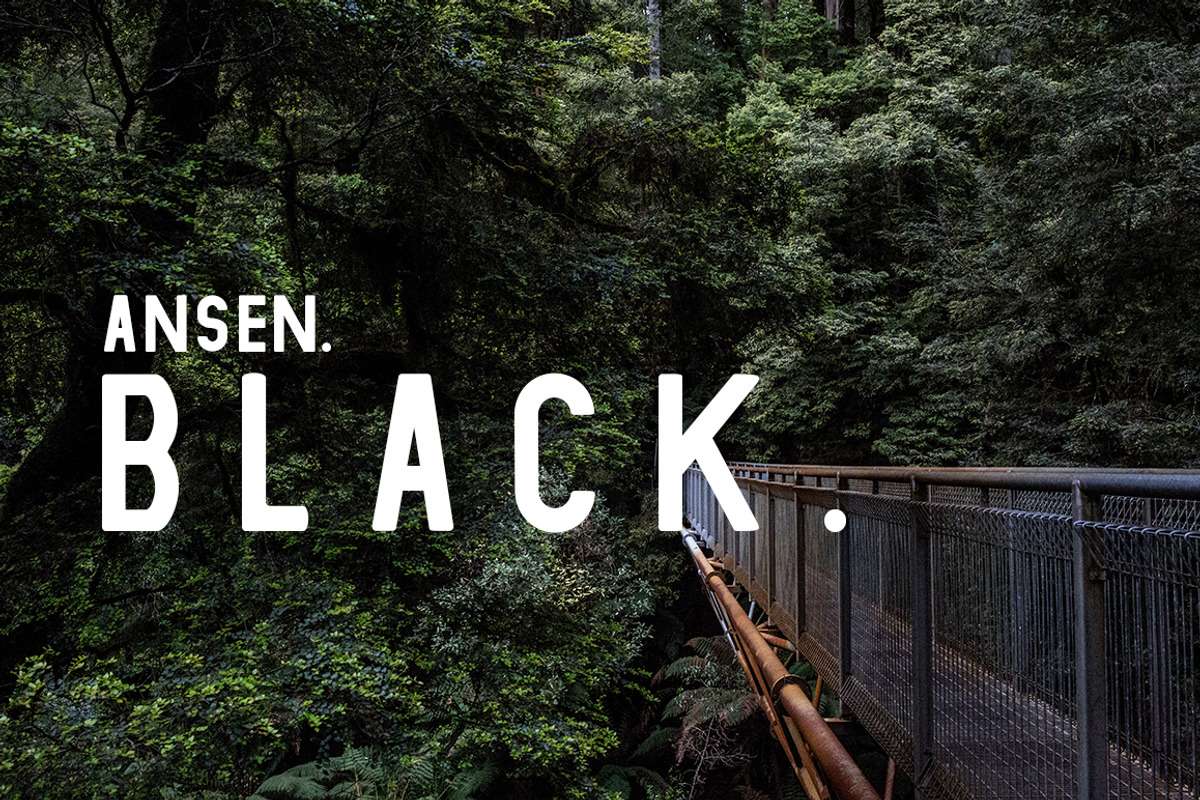 Ansen | An Adventurous Family, a Sans Serif Font by Zone 6 (Photo 12 of 13)