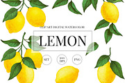 Watercolor  Lemon Clipart  PNG., a Graphic by ARTVracovska (Thumbnail 1 of 4)