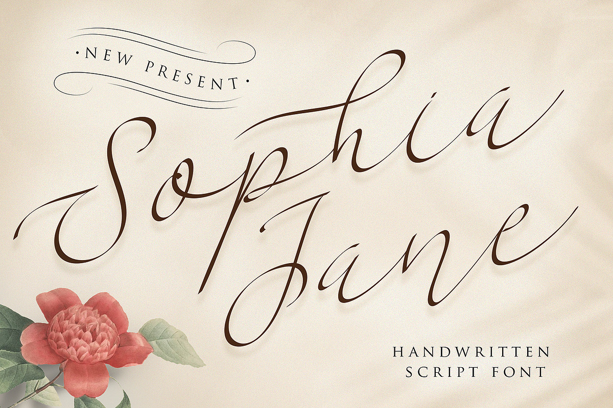 Sophia Jane | Handwritten Script