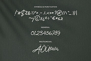Life Rolling - Handwritten Script, a Script Font by Typefactoryco (Thumbnail 3 of 9)