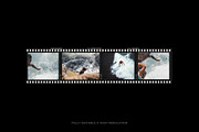High Quality Film Frames Creator, a Product Mockup by The Muza (Thumbnail 23 of 25)