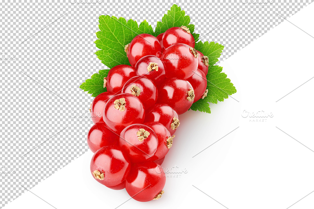 Red currants, an Object Graphic by Fruits+Veggies (Photo 3 of 4)