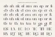 Elegant Serif - Roman Escort, a Serif Font by Font Liner (Thumbnail 12 of 14)