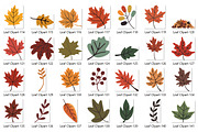 Autumn Leaves Clipart Bundle, a Seasonal Illustration by Whimsy Brush Studio (Thumbnail 8 of 9)