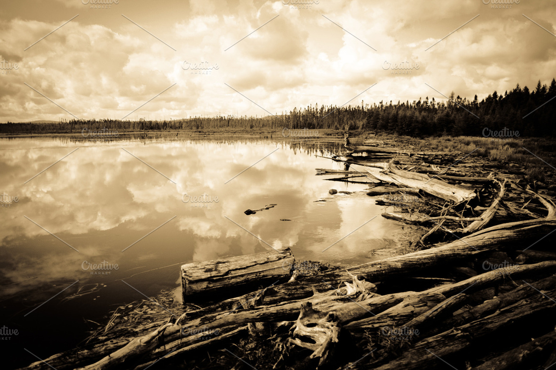 Trembling Lake