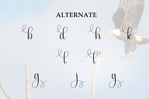 Eagle Script Font