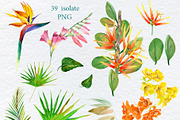 Watercolor Tropical plant & Bird, an Object Graphic by FineArt (Thumbnail 11 of 22)
