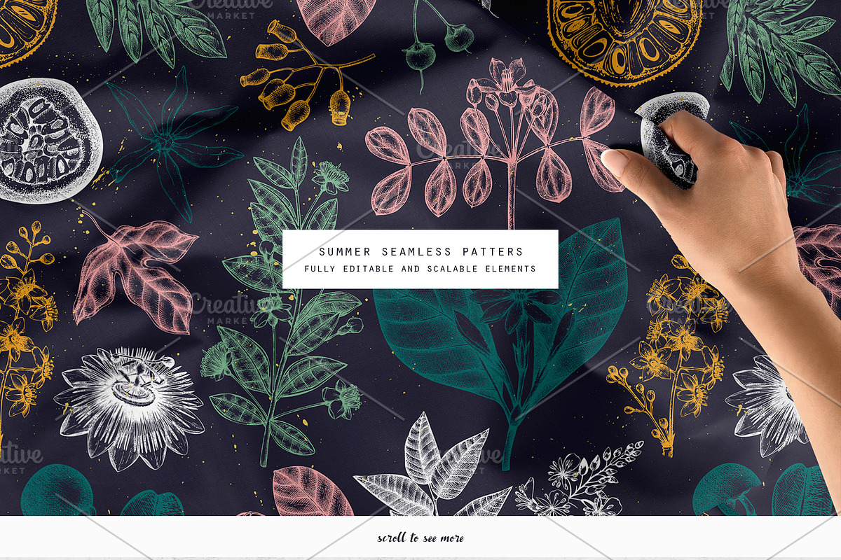 Exotic Plants Vector Collection, a Seasonal Illustration by Yevheniia (Photo 5 of 6)
