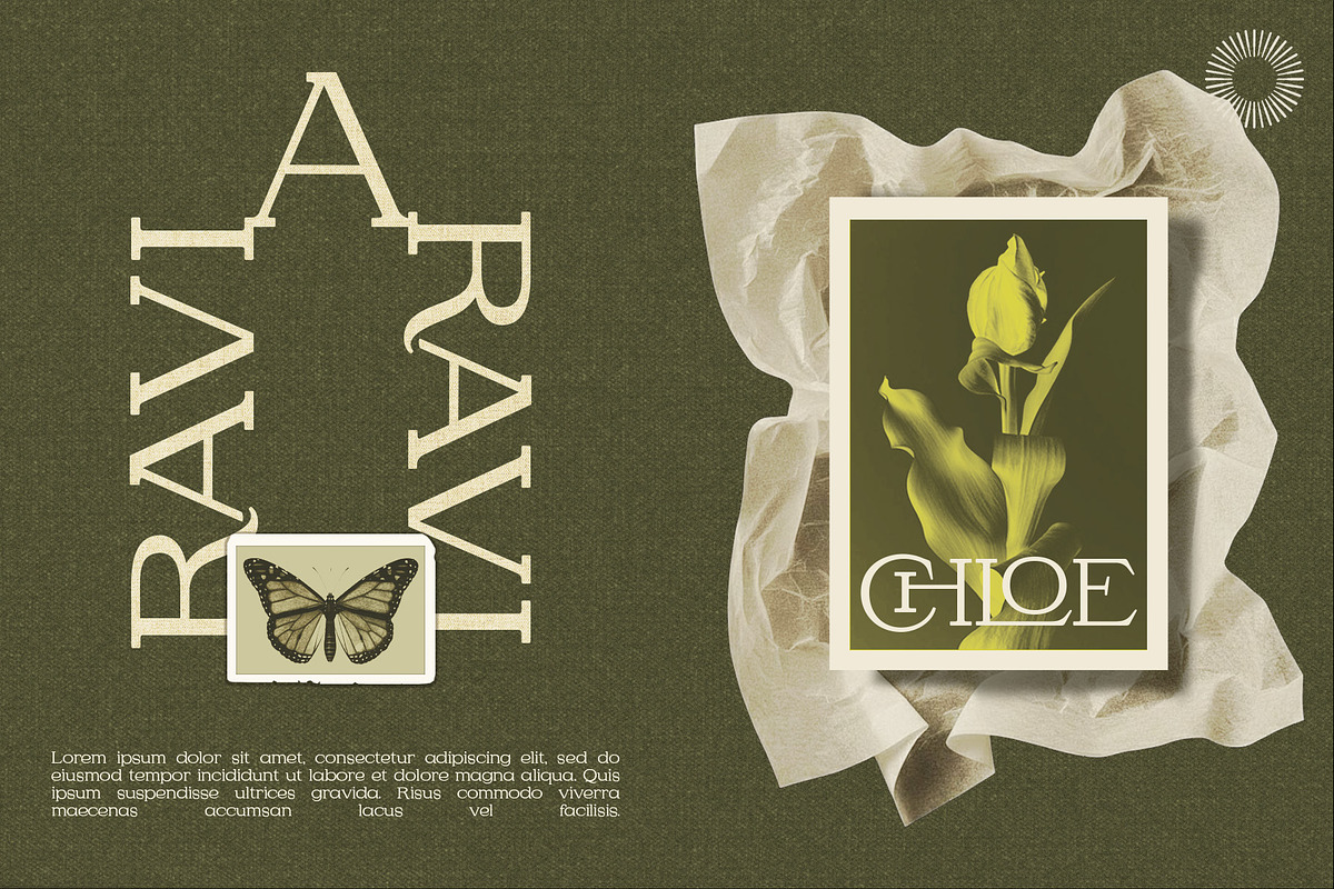Halmera Thornwood- Serif Font Family, a Serif Font by Setara Langit CreativeStd (Photo 5 of 12)